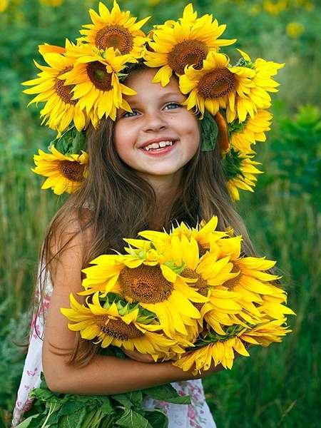 عکس گل آفتابگردان نقاشی