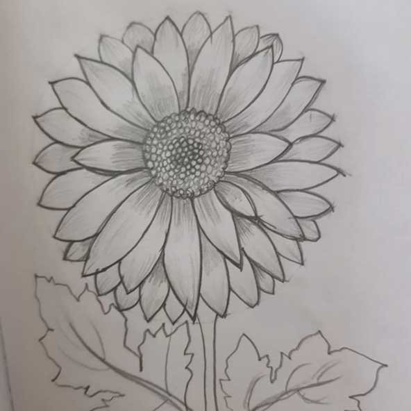 عکس نقاشی گل زیبا ۲۰۲۶