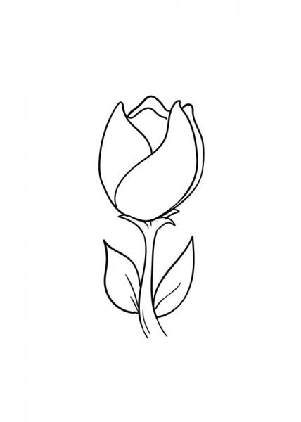  عکس نقاشی گل زیبا ۲۰۲۶