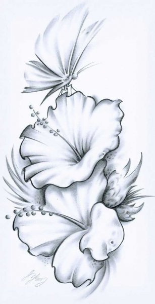  عکس نقاشی گل زیبا ۲۰۲۶