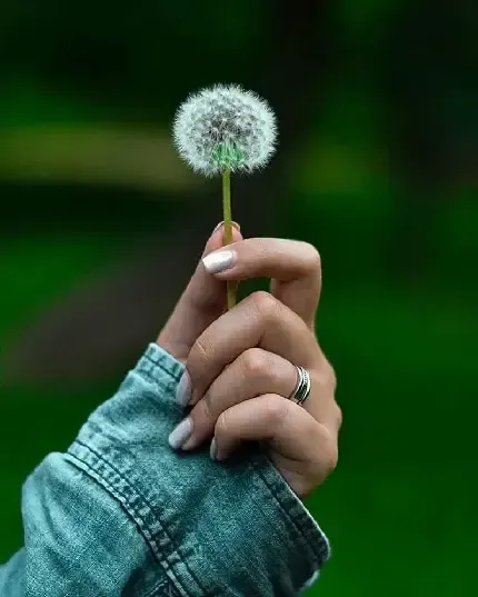  عکس پروفایل دخترونه جدید لاکچری 2026