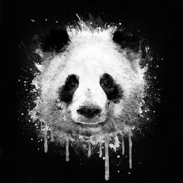  عکس پاندا غمگین و گوگولی