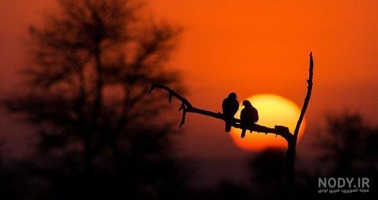  عکس تصویر زمینه غروب عاشقانه زیبا