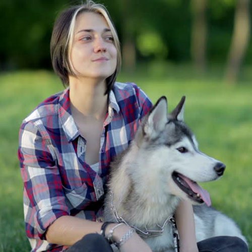  عکس سگ هاسکی برای پروفایل