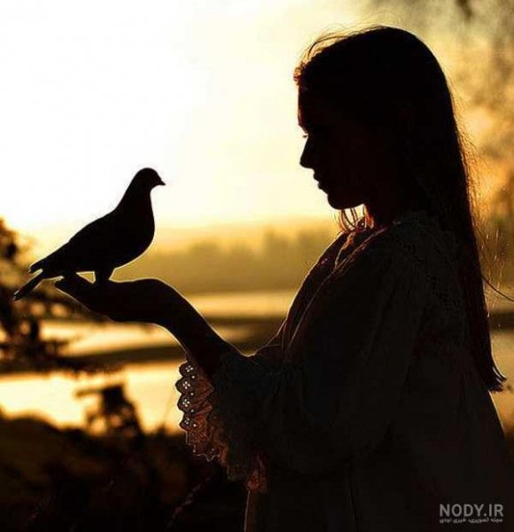  عکس پروفایل کبوتر تنها