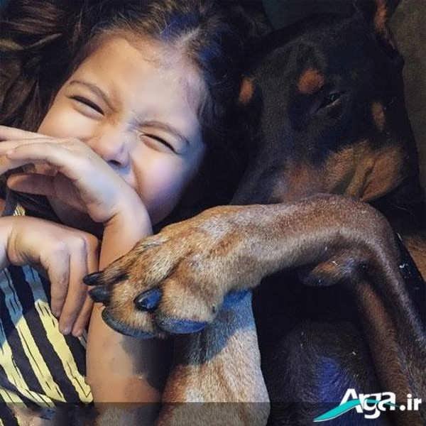  عکس های سگ دوبر من