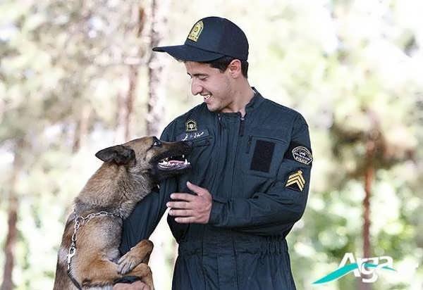  عکس های سگ دوبر من