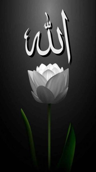  بک گراند الله برای ایفون