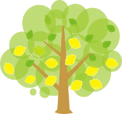  دانلود عکس درخت پر از لیمو