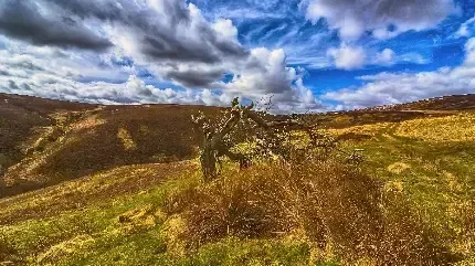  عکس تصویر زمینه آسمان آبی برای لپ تاپ