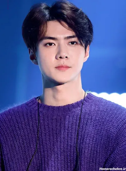  عکس پسر کره ای