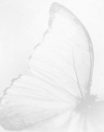  عکس ساده برای پس زمینه گوشی