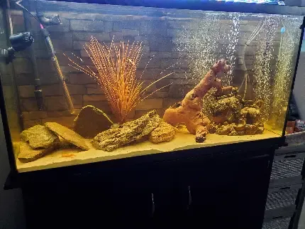  عکس آکواریوم برای بک گراند