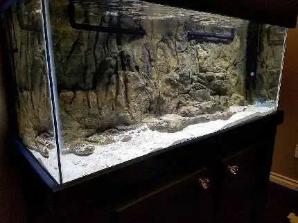  تصویر زمینه متحرک آکواریوم برای کامپیوتر