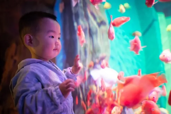  والپیپر آکواریوم برای کامپیوتر