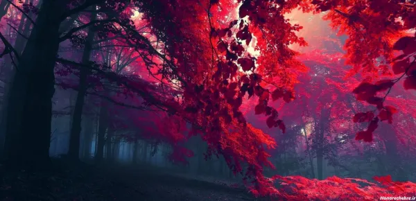  والپیپر خفن برای کامپیوتر