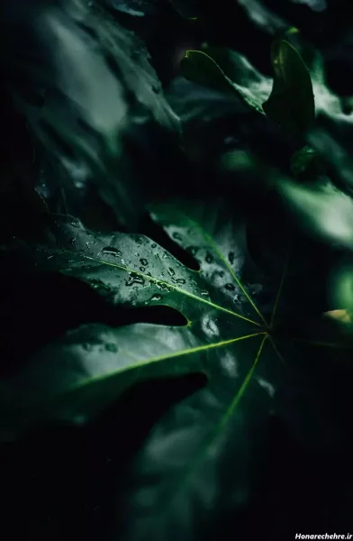  والپیپر خفن برای کامپیوتر