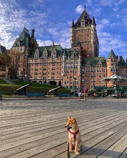  عکس شهر سیدنی برای پروفایل