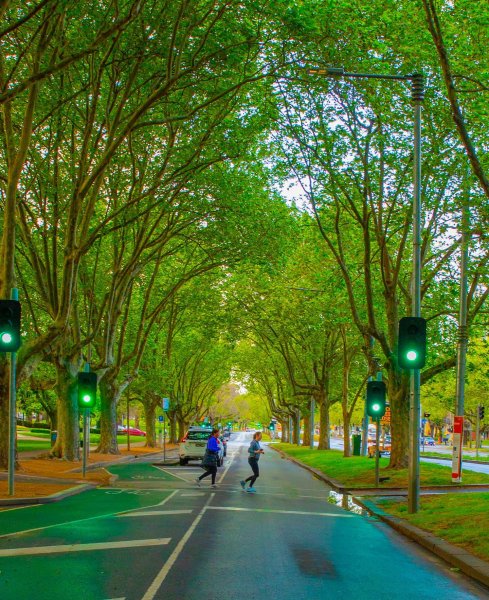  عکس از شهر ملبورن استرالیا