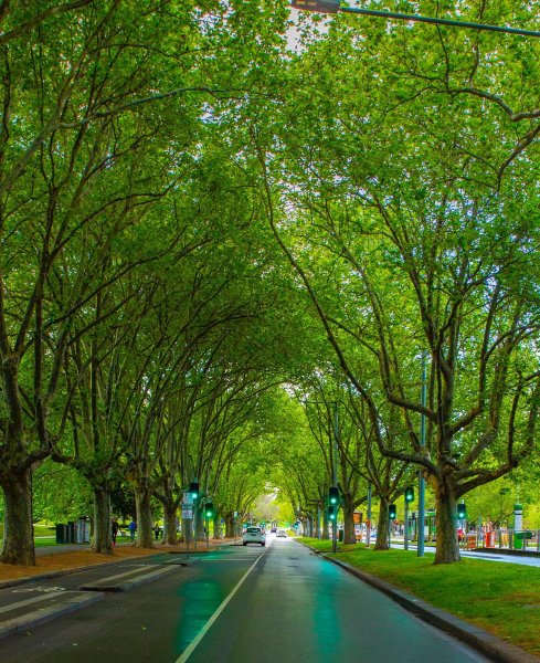  عکس از شهر ملبورن استرالیا