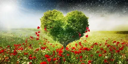 والپیپر مینیمال درخت قلبی فانتزی