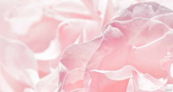 عکس پاستیلی ساده