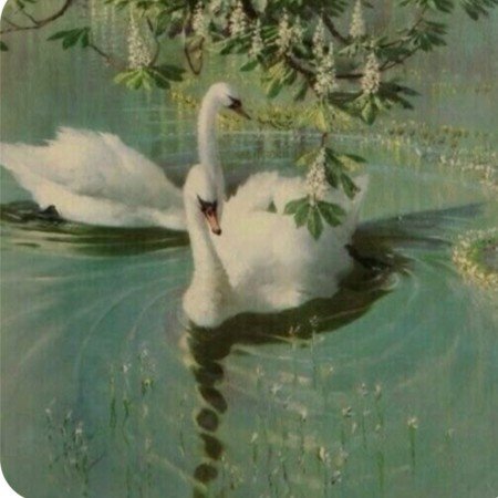  عکس رنگ پاستیلی سبز