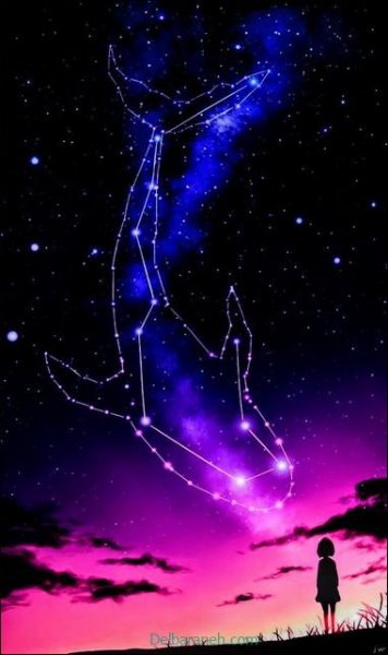  عکس رنگ بنفش پاستیلی