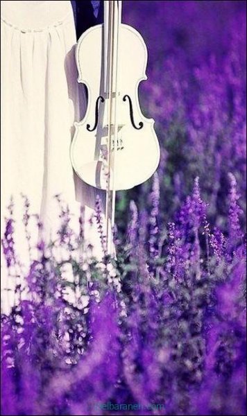  عکس رنگ بنفش پاستیلی