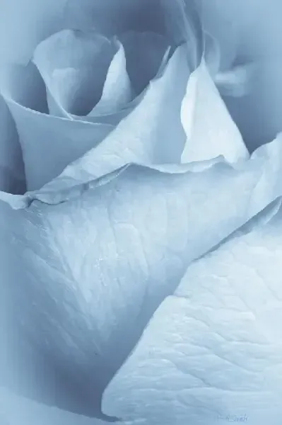  والپیپر آبی خفن