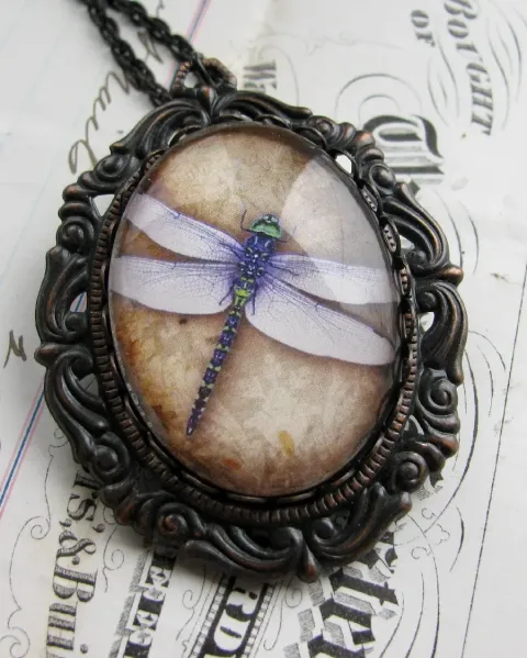  عکس سنجاقک های واقعی