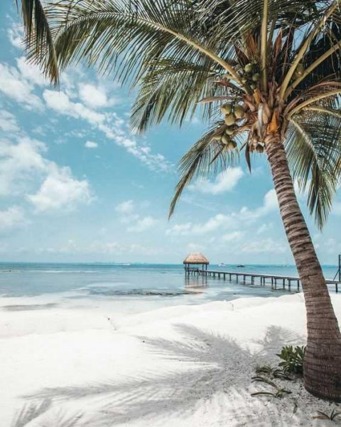  پروفایل ساحل با کیفیت بالا