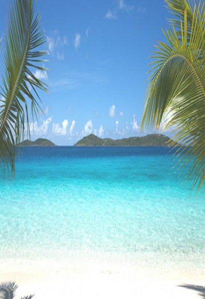  عکس ساحل جدید