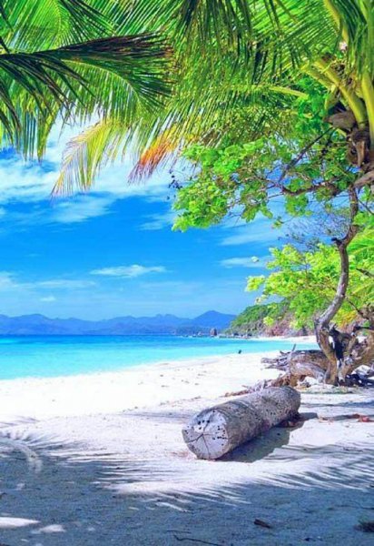  عکس ساحل جدید