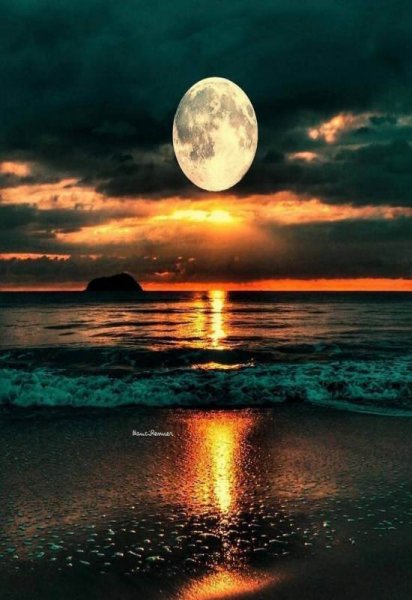  عکس ساحل جدید