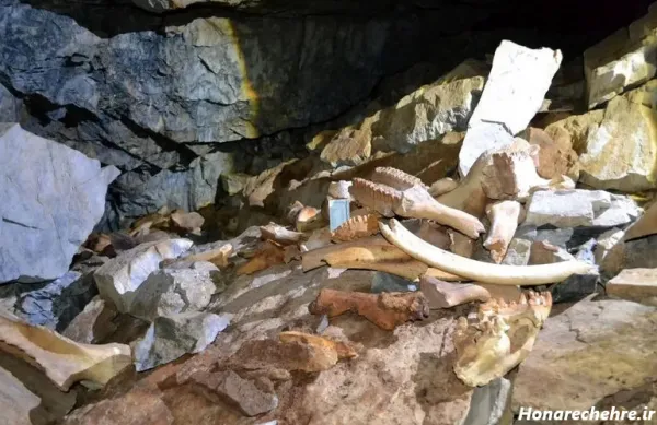  عکس غار تاریک و ترسناک