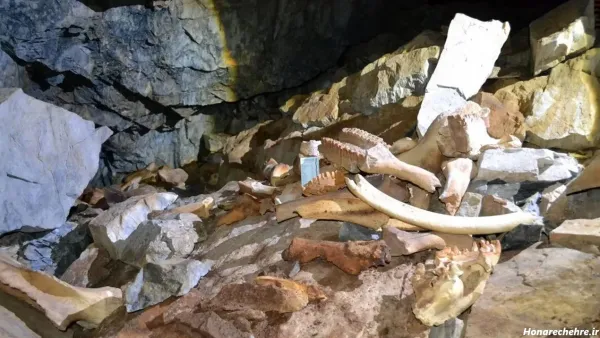  عکس غار تاریک و ترسناک