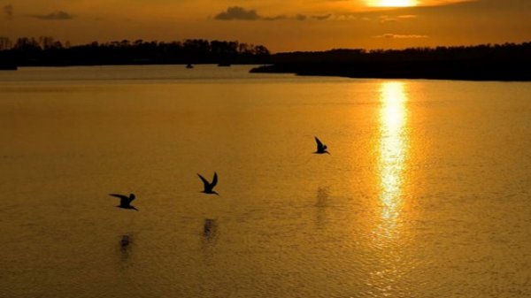  عکس زیبا از غروب خورشید