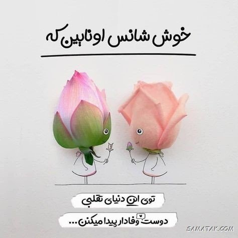  عکس نوشته تبریک روز جهانی بهترین دوست