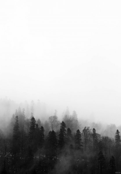  عکس هوای مه آلود عاشقانه