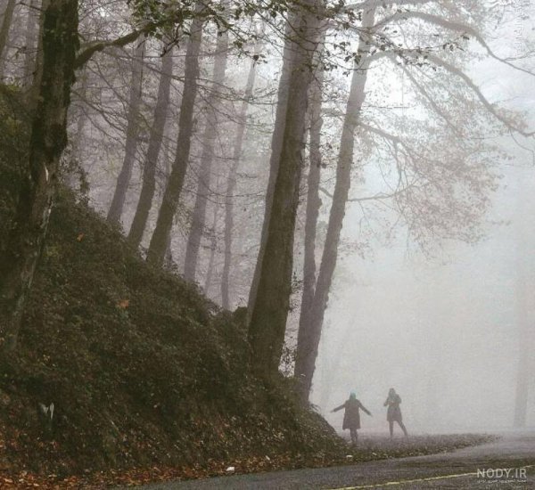  عکس هوای مه آلود عاشقانه