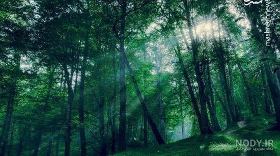  عکس هوای مه آلود عاشقانه