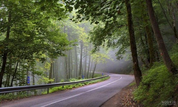  عکس هوای مه آلود عاشقانه