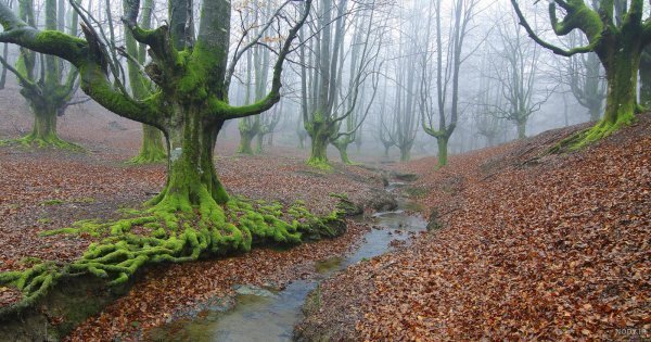  عکس هوای مه آلود عاشقانه