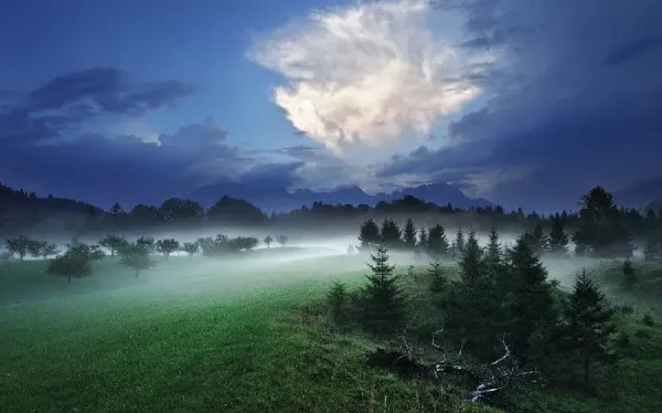  عکس فصل بهار برای والپیپر گوشی