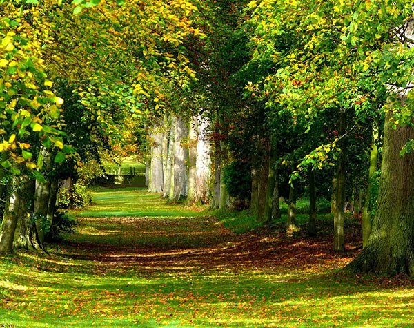  عکس منظره زیبا فصل بهار