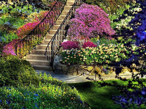  عکس منظره زیبا فصل بهار