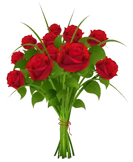  قشنگ ترین عکس دسته گل قرمز