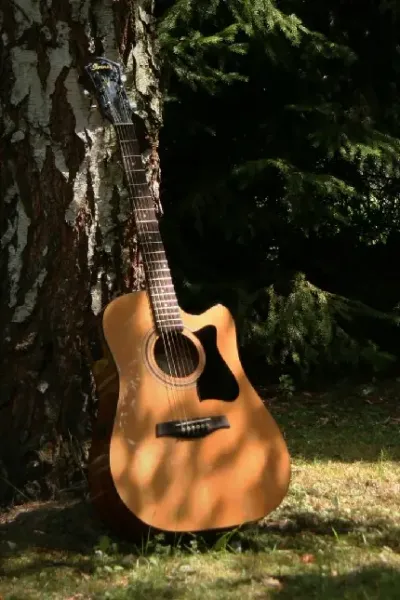  دانلود عکس گیتار