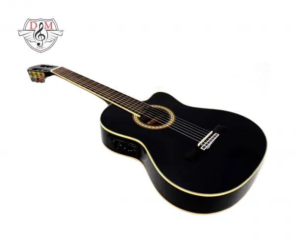  عکس گیتار مشکی زیبا